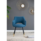 Blue Modern 23.2 Accent Chair (Set of 2)