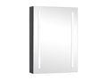 Bathroom cabinet with LED mirror 50x13x70 cm 91972RWTL